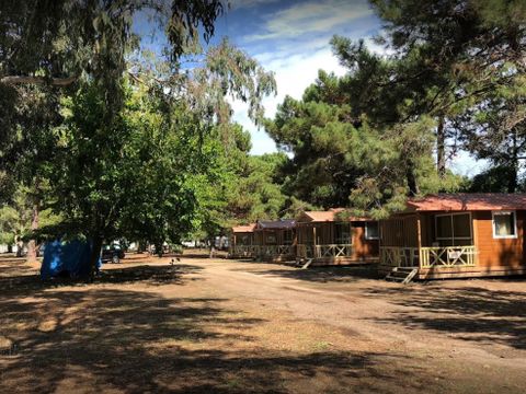 Camping L'Oso - Camping Zuid-corsica - Afbeelding N°3