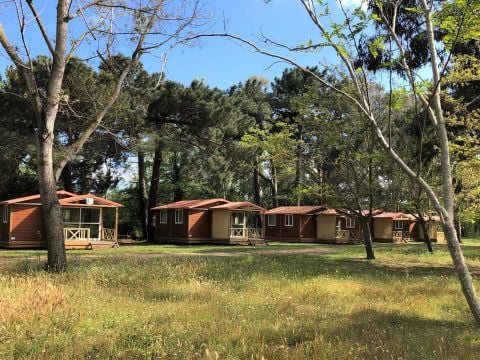 Camping L'Oso - Camping Corse du Sud - Image N°5