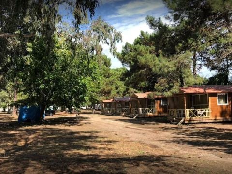 Camping L'Oso - Camping Corse du Sud - Image N°3