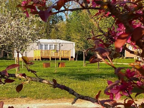 MOBILE HOME 4 people - Lodge Cerisier 2 rooms