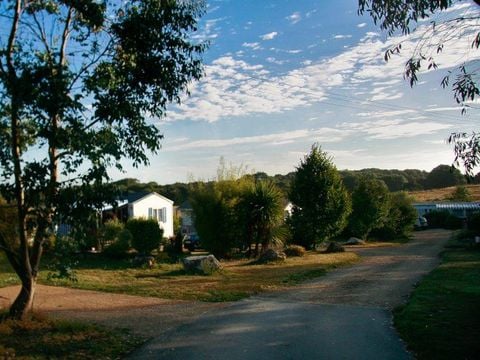 Camping Les Peupliers - Camping Finistère - Image N°11