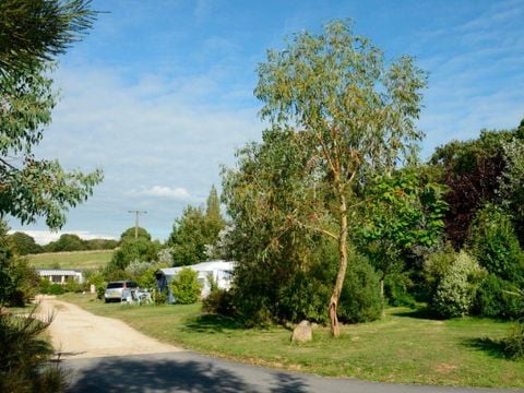 Camping Les Peupliers - Camping Finistère - Image N°9