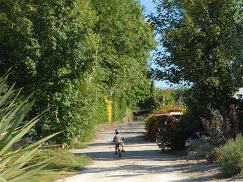 Camping Les Peupliers - Camping Finistère - Image N°10