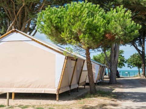 TENTE TOILE ET BOIS 4 personnes - Lodge Premium  2ch.4 Arrivée Dimanche