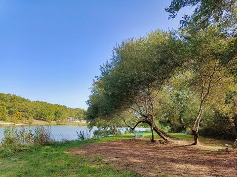  Camping Naturiste du Lac de Lislebonne - Camping Lot-et-Garonne - Image N°25