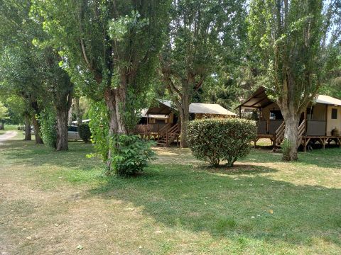 CANVAS AND WOOD TENT 6 people - Lodge Tent KENYA