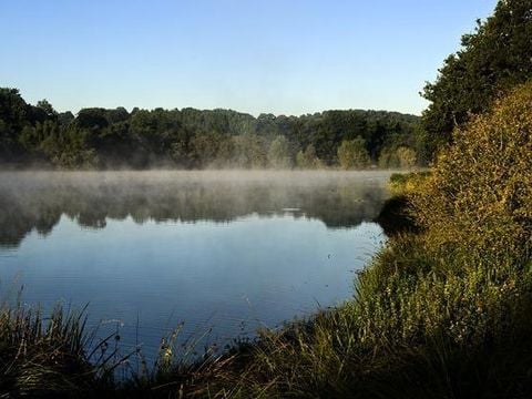 Domaine du Moulin Neuf - Camping Morbihan - Image N°18