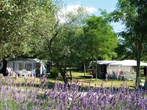 Camping Sites et Paysages - Le Petit Bois - Camping Ardèche - Image N°11