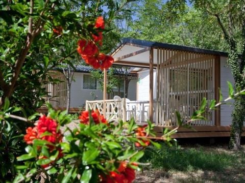 Camping Sites et Paysages - Le Petit Bois - Camping Ardèche - Image N°31