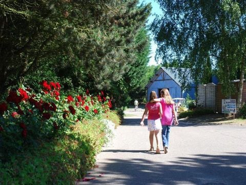 Flower Camping Vitamin - Camping Seine-Maritime - Image N°38