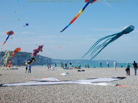 Flower Camping Vitamin - Camping Seine-Maritime - Image N°34