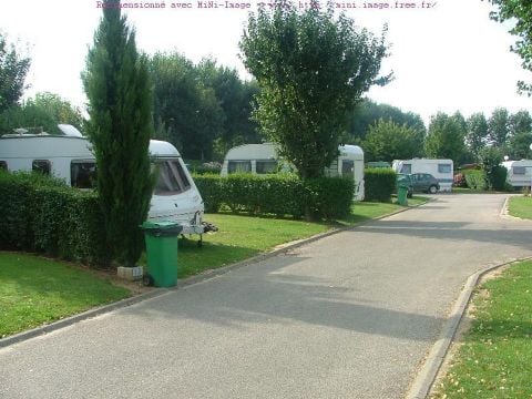 Flower Camping Vitamin - Camping Seine-Maritime - Image N°49