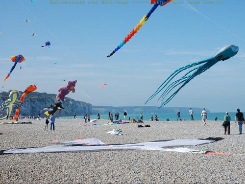 Flower Camping Vitamin - Camping Seine-Maritime - Image N°34