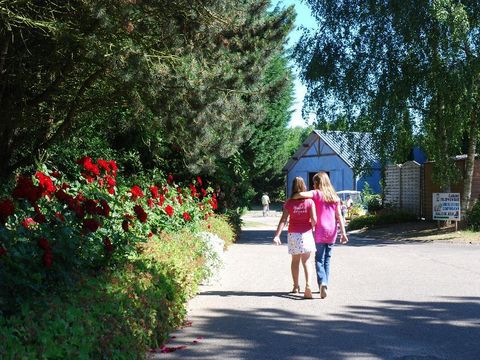 Flower Camping Vitamin - Camping Seine-Maritime - Image N°38