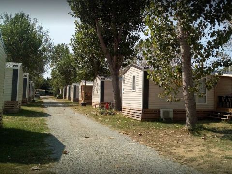 Camping De Saint Aygulf Plage - Camping Var - Image N°42