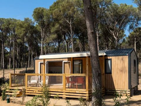 MOBILE HOME 4 people - Cottage Provence 3 Rooms 4 People Air-conditioned + TV ****