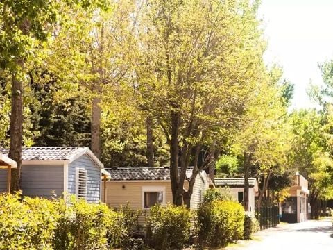 Camping Sandaya Etoile d'Argens - Camping Var - Image N°82