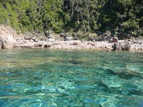 Camping Le Sagone - Camping Southern Corsica - Image N°16