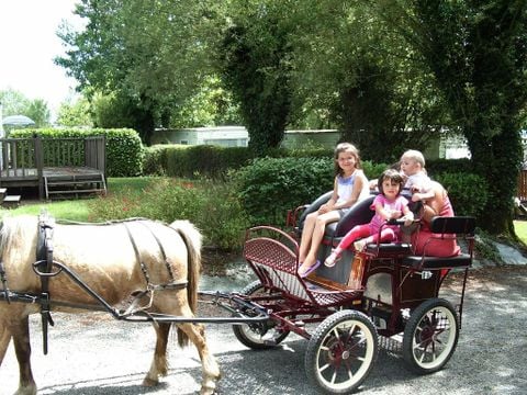 Camping Paradis - Domaine de Bellevue - Camping Vendée - Image N°76