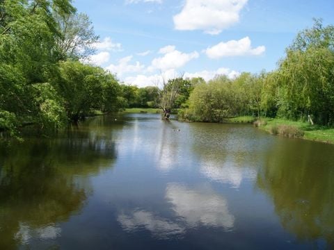 Camping Paradis - Domaine de Bellevue - Camping Vendée - Image N°32