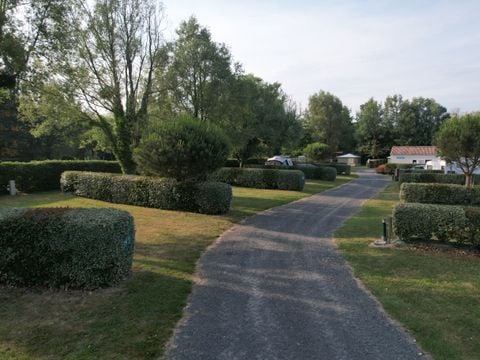 Camping Paradis - Domaine de Bellevue - Camping Vendée - Image N°75