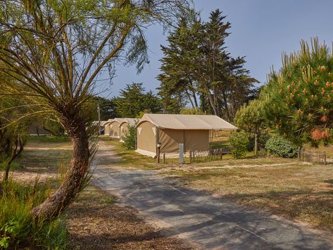 Camping La Côte Sauvage  - Camping Charente-Maritime - Image N°19