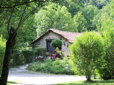 Camping Moulin de Chaules  - Camping Cantal - Image N°19