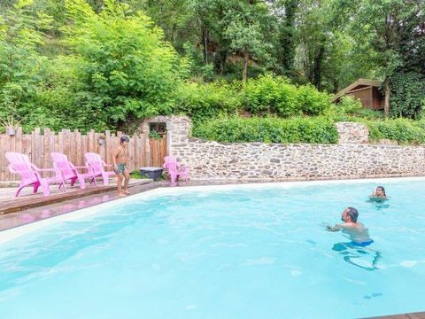 Camping Moulin de Chaules  - Camping Cantal - Image N°6