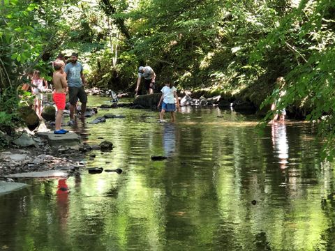 Camping Moulin de Chaules  - Camping Cantal - Image N°24