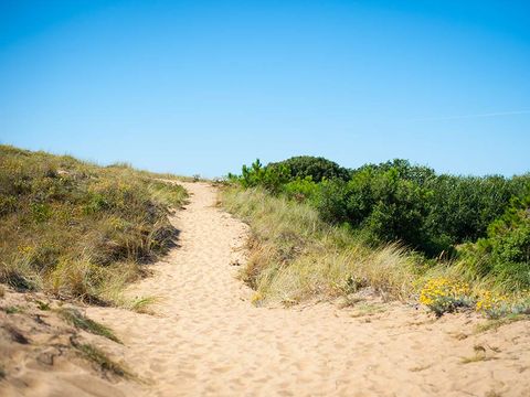 Camping Les Cyprès - Camping Vendée - Image N°60