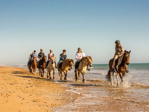 Domaine des Pins   - Camping Vendée - Image N°32