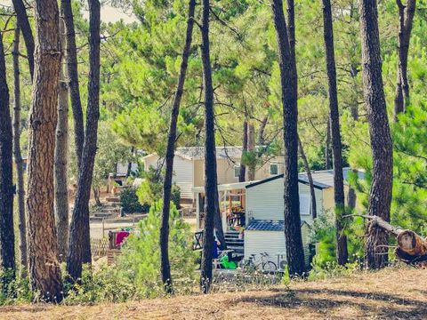 Domaine des Pins   - Camping Vendée - Image N°35