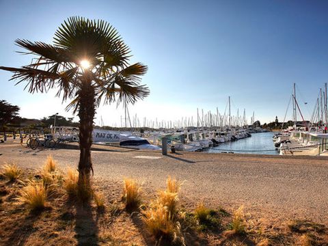 Tour Opérateur sur le Camping La Prairie - Camping Vendée - Image N°43