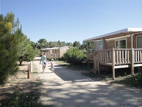 Domaine Résidentiel de Plein Air Les Demoiselles - Camping Vendée - Image N°24