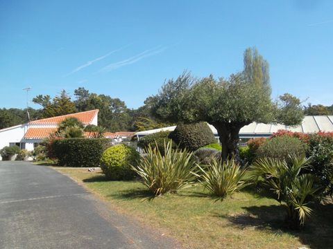 Village vacances Le Hameau de L'Océan - Camping Vendée - Image N°44