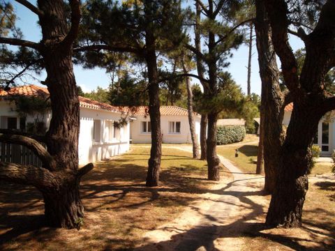 Village vacances Le Hameau de L'Océan - Camping Vendée - Image N°38