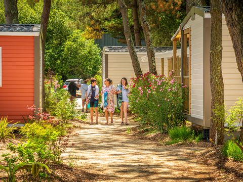 Camping Riez à la vie  - Camping Vendée - Image N°83