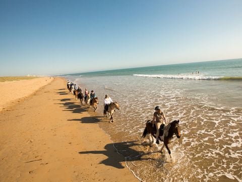 Camping L'Abri des Pins - Camping Vendée - Image N°32