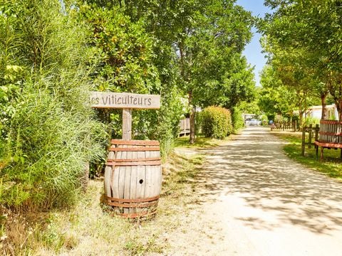 Camping La Grand Métairie - Camping Paradis - Camping Vendée - Image N°30