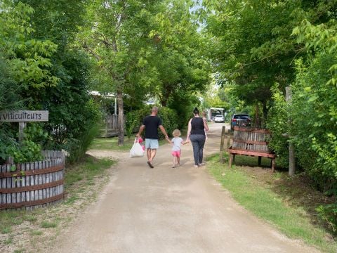 Camping La Grand Métairie - Camping Paradis - Camping Vendée - Image N°30