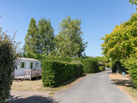 Camping Les Amiaux  - Camping Vendée