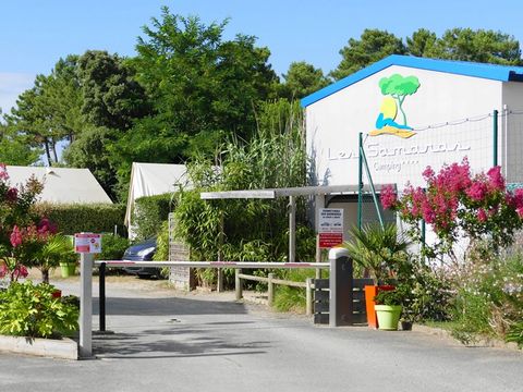 Camping Les Samaras - Camping Vendée - Image N°8