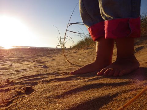 Camping la Forêt - Camping Vendée - Image N°61