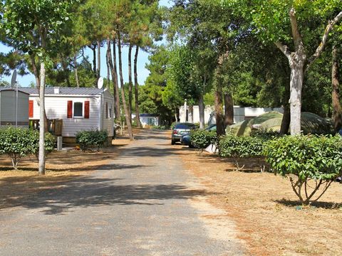 Camping Côté Plage - Camping Vendée - Image N°40