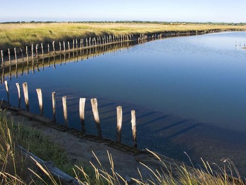 Camping Le California - Camping Vendée - Image N°34