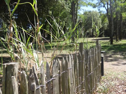 Camping Le Bois Verdon - Camping Vendée - Image N°32