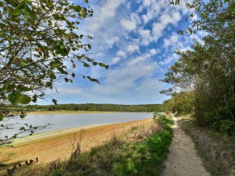 Marvilla Parks Château La Forêt - Camping Vendée - Image N°84