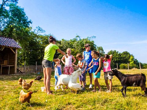 Marvilla Parks Château La Forêt - Camping Vendée - Image N°32