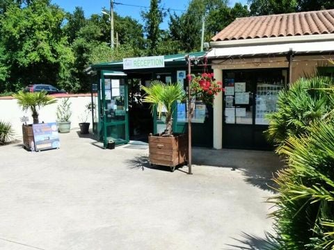 Camping Domaine Les Charmilles  - Camping Charente-Maritime - Image N°40