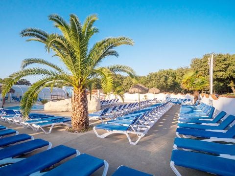 Camping Domaine Les Charmilles  - Camping Charente-Maritime - Image N°2